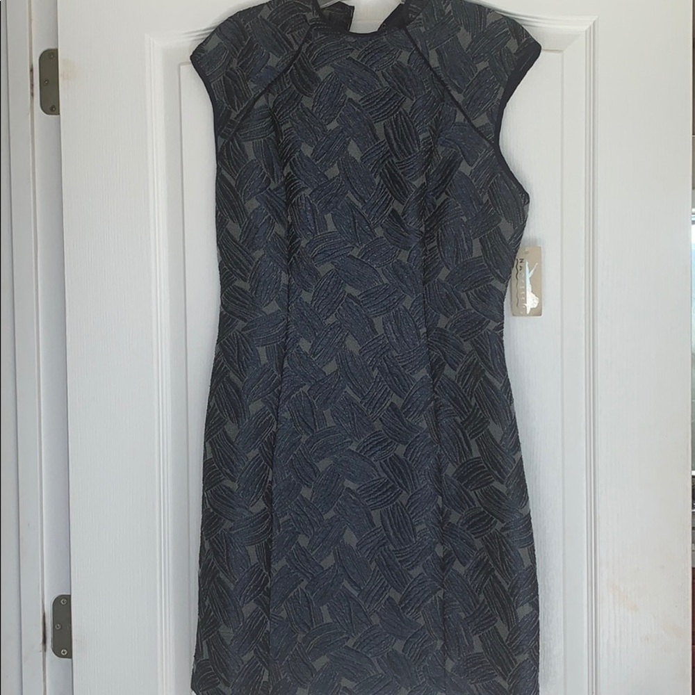 Blue/Black Dress